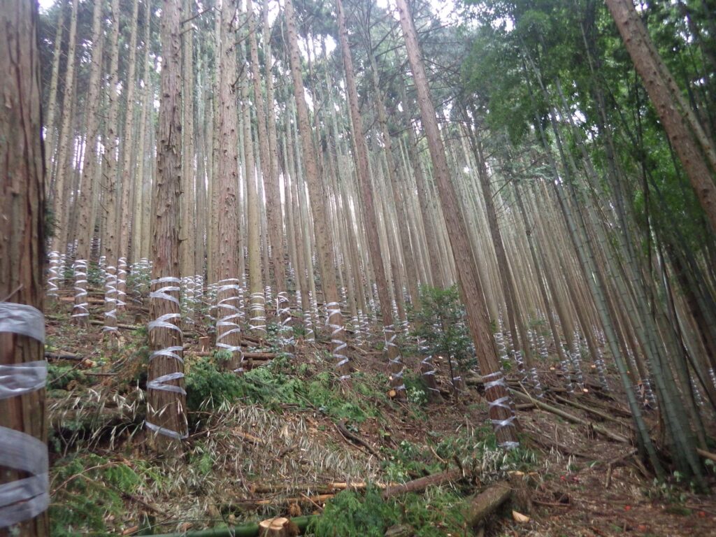 獣害防止対策_02